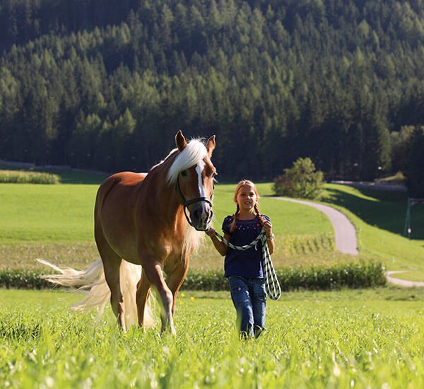 Reiten im Pustertal