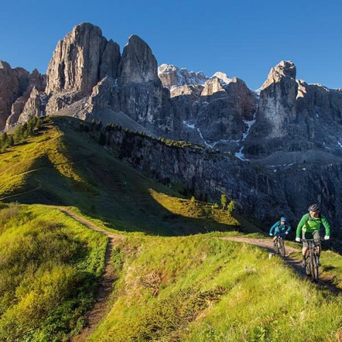 Im Mountainbike-Urlaub zu Almwiesen, Hütten und Donwhill-Trails