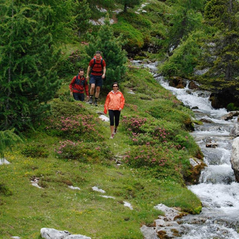 Wanderurlaub Kronplatz